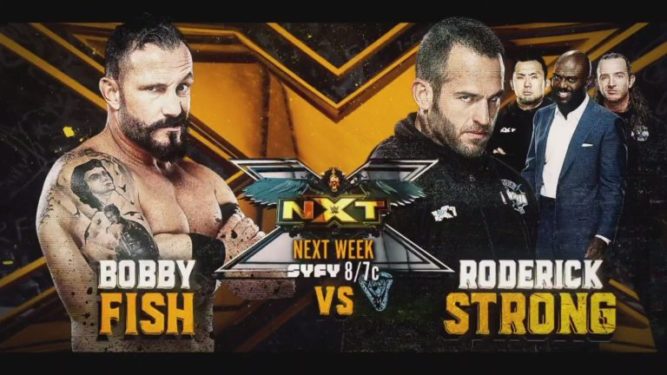 WWE NXT Preview: एनएक्सटी पर अगले हफ्ते होगा Bobby Fish vs Roderick Strong, इन दो बड़े मैचों की भी हुई घोषणा