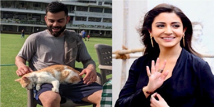 IND vs NZ: दिल्ली का लौंडा, मुंबई की बिल्ली, पत्नी अनुष्का के कमेंट पर Virat Kohli का मजेदार जवाब - देखें Photos